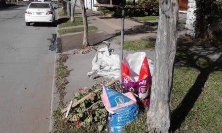 Villa Cañás: La Municipalidad no cumple con el servicio de recolección de residuos mayores