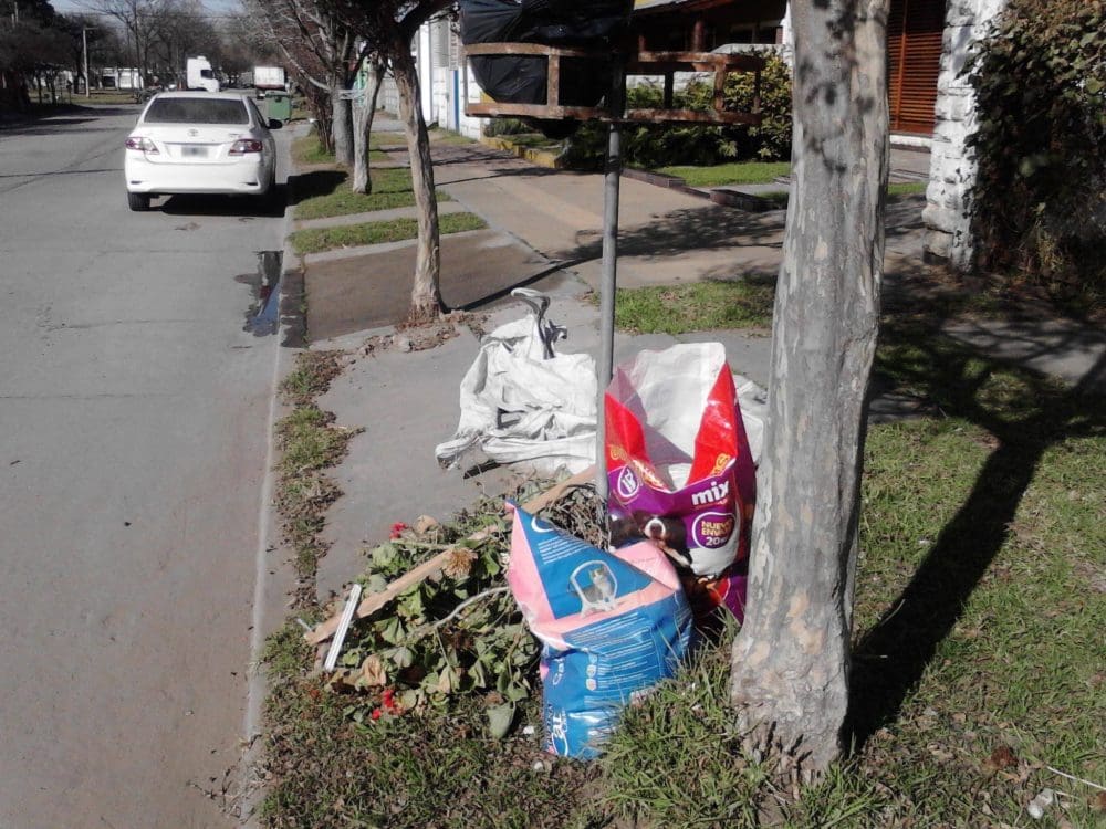 Villa Cañás: La Municipalidad no cumple con el servicio de recolección de residuos mayores