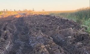 María Teresa: Dura denuncia contra Vialidad Provincial por el estado de la Ruta 7s