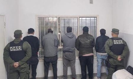 Abigeato agravado en Santa Isabel: Cinco detenidos por faena ilegal de porcinos