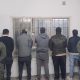 Abigeato agravado en Santa Isabel: Cinco detenidos por faena ilegal de porcinos
