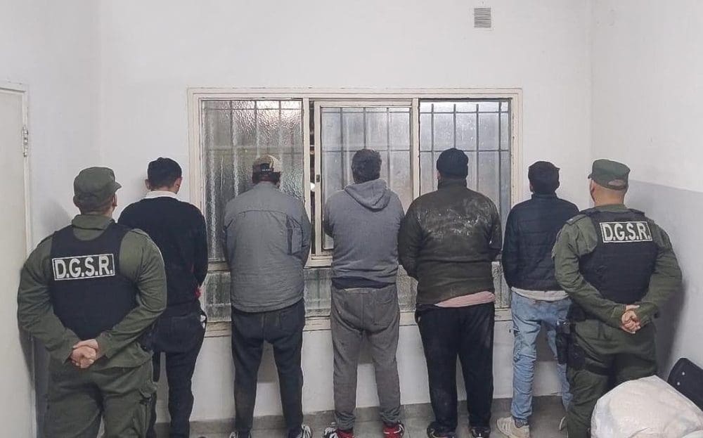 Abigeato agravado en Santa Isabel: Cinco detenidos por faena ilegal de porcinos