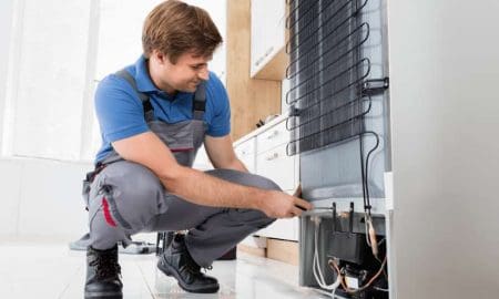 Di Gregorio anunció un curso gratuito para reparación de heladeras