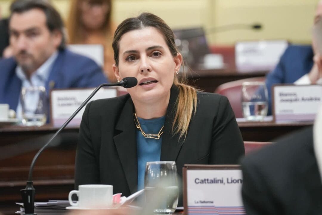 Cattalini pidió celeridad al Concejo de la Magistratura en el caso del juez Salmain