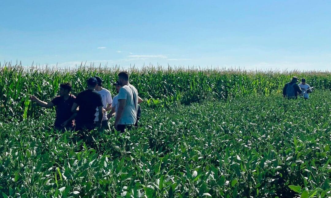 Venado Tuerto: Llega la Carrera de Ingeniería Agronómica de la Universidad Nacional de Rosario Venado Tuerto: Llega la Carrera de Ingeniería Agronómica de la Universidad Nacional de Rosario