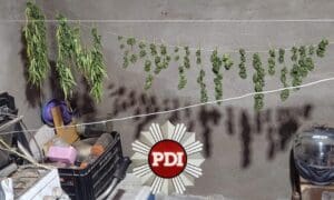 Melincué: Dos detenidos tras un allanamiento por presunta venta de drogas