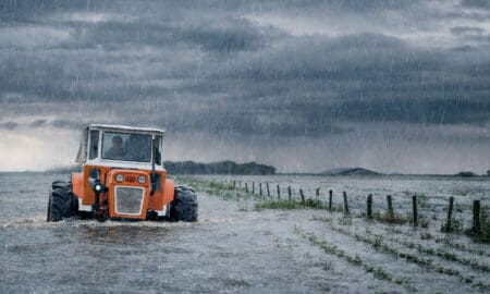 El Niño gana fuerza: Alertan por más lluvias y riesgo hídrico en el agro