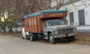 Venado Tuerto multará camiones estacionados en la vía pública